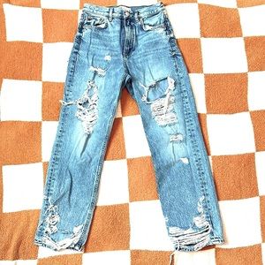 Zara The Pepper Mom jeans